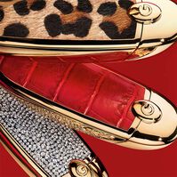 Rouge G Carcasa   Rouge G Carcasa   4